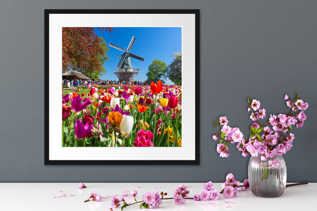 Holländisches Tulpenmeer vor Windmühle Passepartout Detail Quadratisch