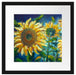 Sonnenblumen vor blauem Hintergrund Passepartout Quadratisch 40