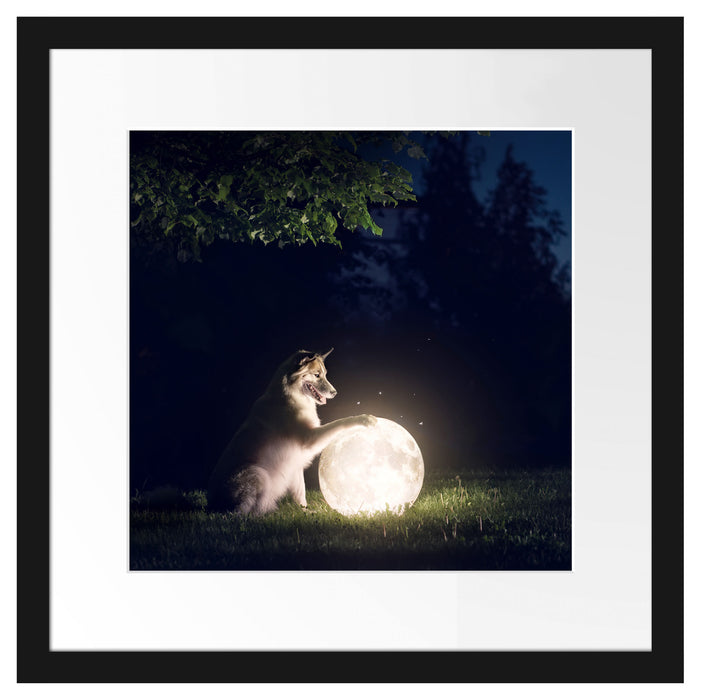 Hund mit leuchtendem Mond bei Nacht Passepartout Quadratisch 40