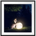 Hund mit leuchtendem Mond bei Nacht Passepartout Quadratisch 70
