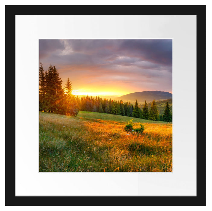 Wiesenlandschaft bei Sonnenuntergang Passepartout Quadratisch 40