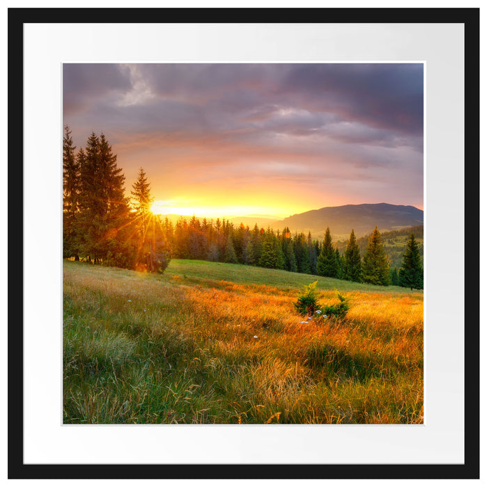 Wiesenlandschaft bei Sonnenuntergang Passepartout Quadratisch 55