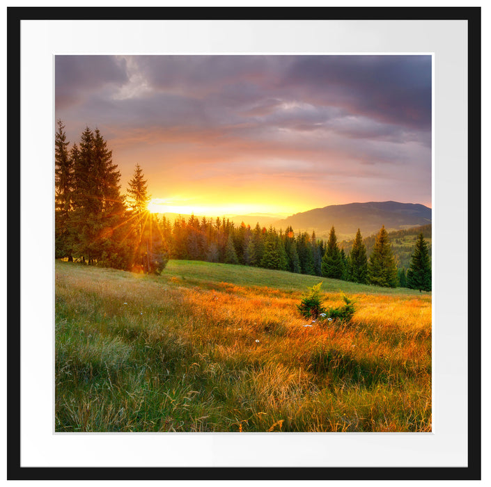 Wiesenlandschaft bei Sonnenuntergang Passepartout Quadratisch 70