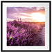 Lavendellandschaft bei Sonnenuntergang Passepartout Quadratisch 55