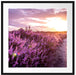 Lavendellandschaft bei Sonnenuntergang Passepartout Quadratisch 70