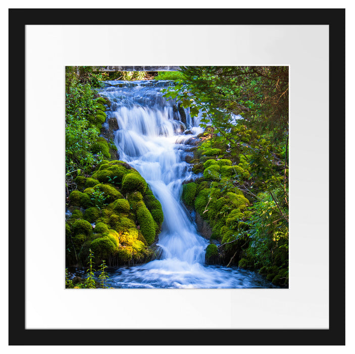 Wasserfall im grünen Wald Passepartout Quadratisch 40