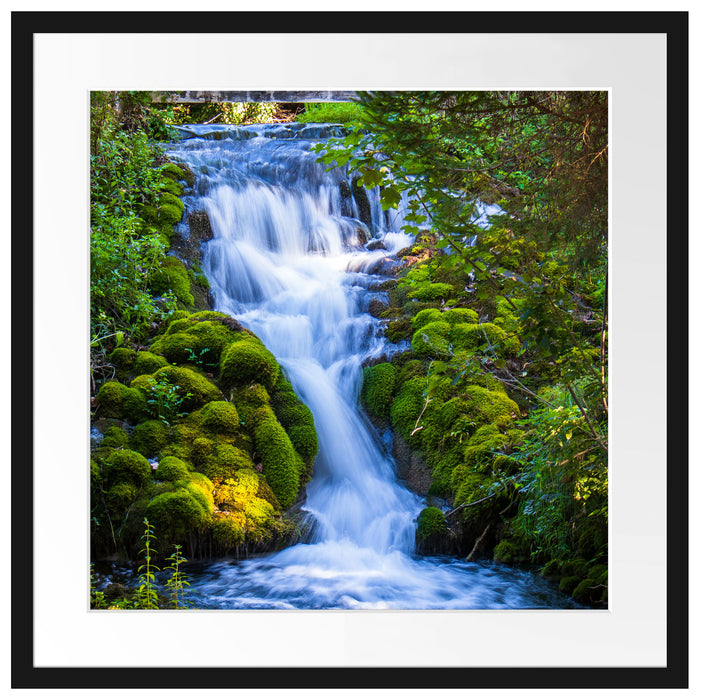 Wasserfall im grünen Wald Passepartout Quadratisch 55