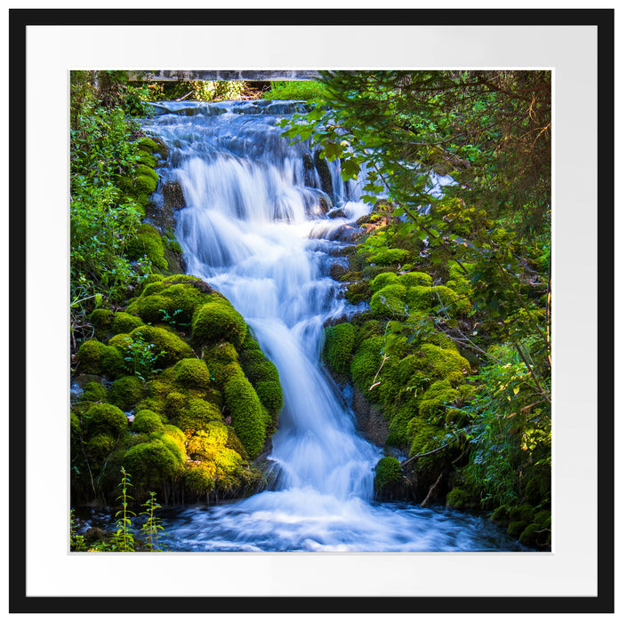 Wasserfall im grünen Wald Passepartout Quadratisch 70