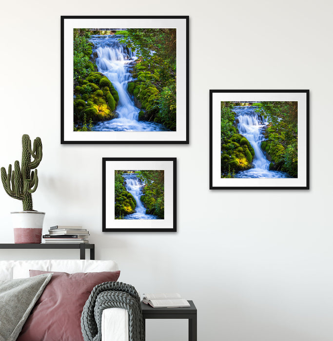 Wasserfall im grünen Wald Passepartout Wohnzimmer Quadratisch