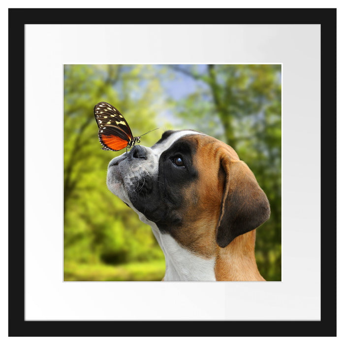Welpe mit Schmetterling auf der Nase Passepartout Quadratisch 40