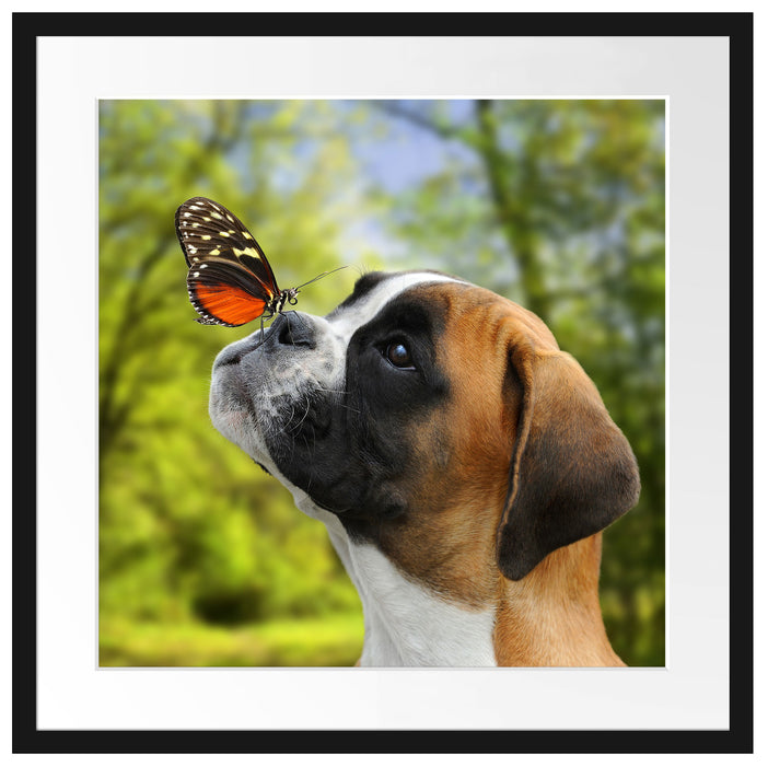 Welpe mit Schmetterling auf der Nase Passepartout Quadratisch 55