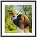 Welpe mit Schmetterling auf der Nase Passepartout Quadratisch 55
