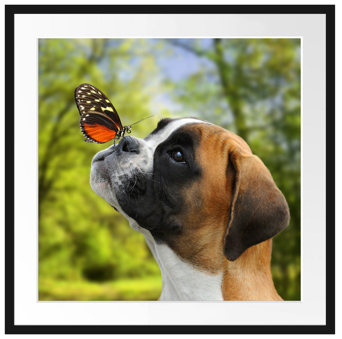 Welpe mit Schmetterling auf der Nase Passepartout Quadratisch 70