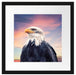 Weisskopfseeadler im Sonnenuntergang Passepartout Quadratisch 40