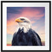 Weisskopfseeadler im Sonnenuntergang Passepartout Quadratisch 55