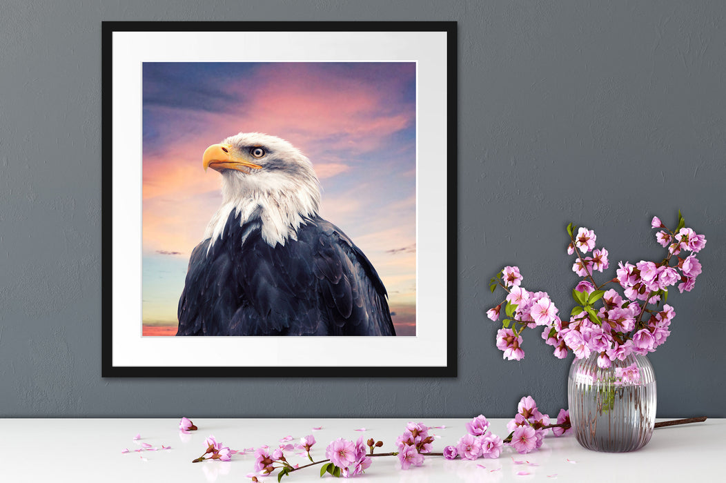 Weisskopfseeadler im Sonnenuntergang Passepartout Detail Quadratisch