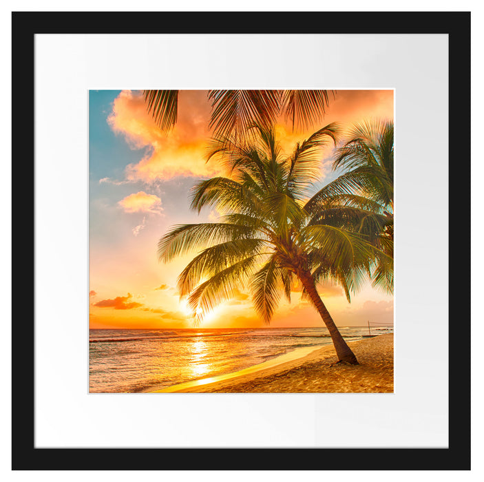 Palmen im Sonnenuntergang auf Barbados Passepartout Quadratisch 40