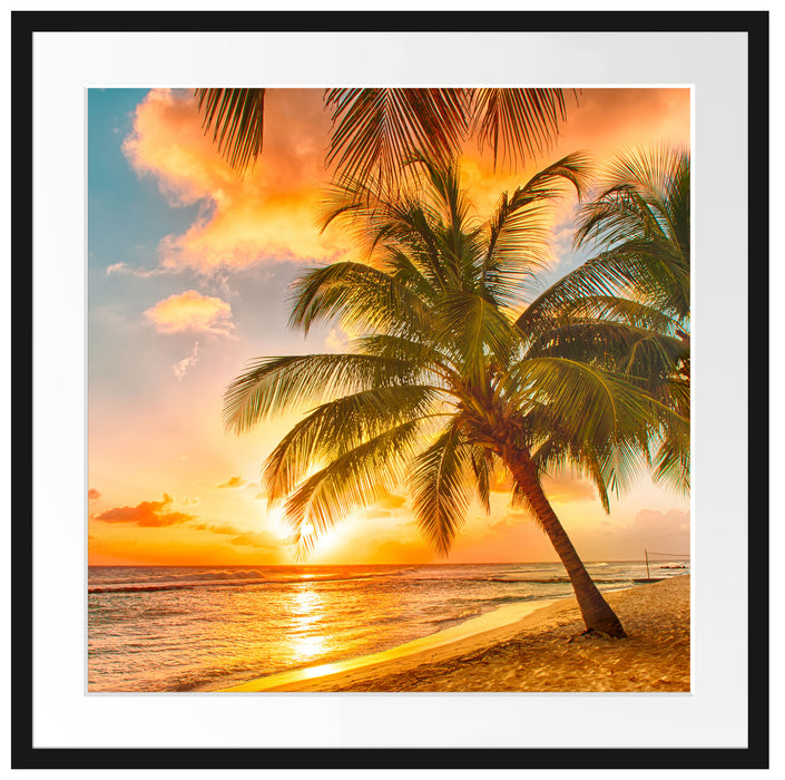 Palmen im Sonnenuntergang auf Barbados Passepartout Quadratisch 70