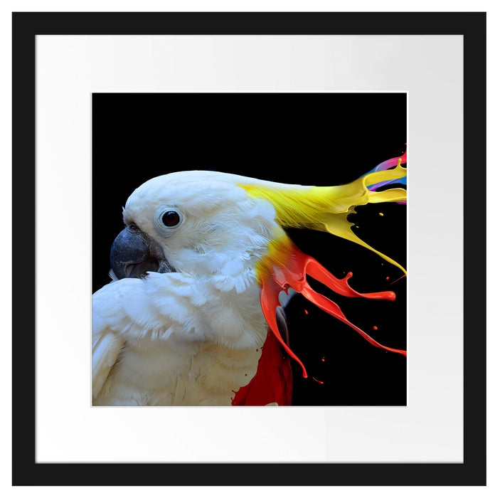 Papagei mit buntem Kamm Passepartout Quadratisch 40