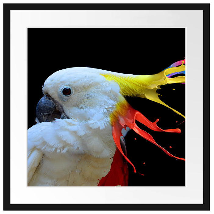 Papagei mit buntem Kamm Passepartout Quadratisch 55