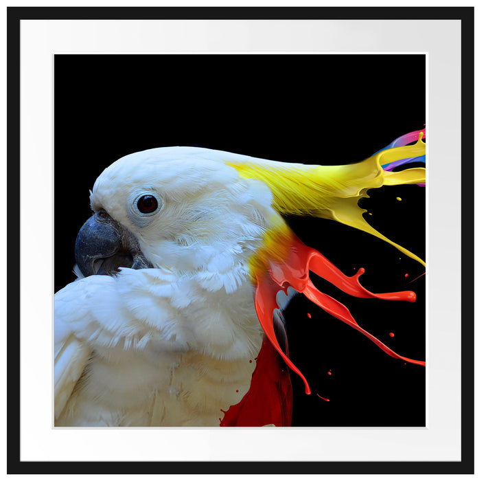 Papagei mit buntem Kamm Passepartout Quadratisch 70
