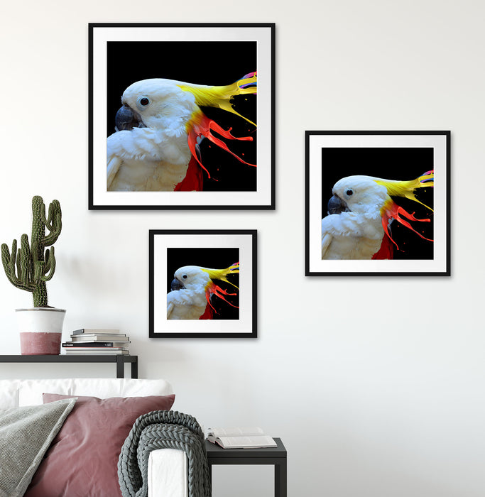Papagei mit buntem Kamm Passepartout Wohnzimmer Quadratisch