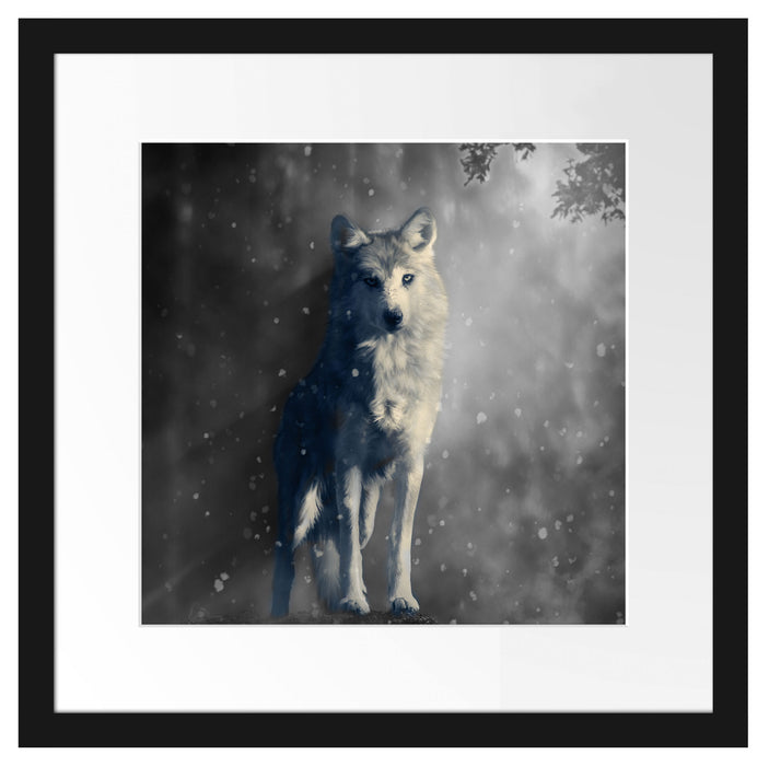 Fantasievoller weißer Wolf auf Lichtung B&W Detail Passepartout Quadratisch 40