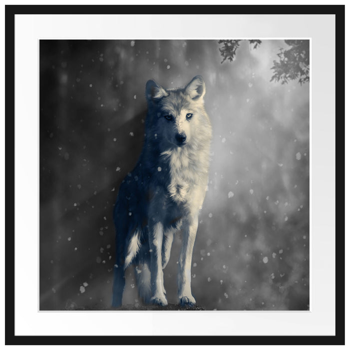 Fantasievoller weißer Wolf auf Lichtung B&W Detail Passepartout Quadratisch 70