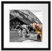 Kühe auf Almwiese am Trog B&W Detail Passepartout Quadratisch 40