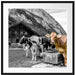 Kühe auf Almwiese am Trog B&W Detail Passepartout Quadratisch 70