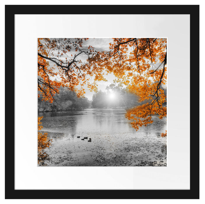 Herbstbäume um See bei Sonnenuntergang B&W Detail Passepartout Quadratisch 40