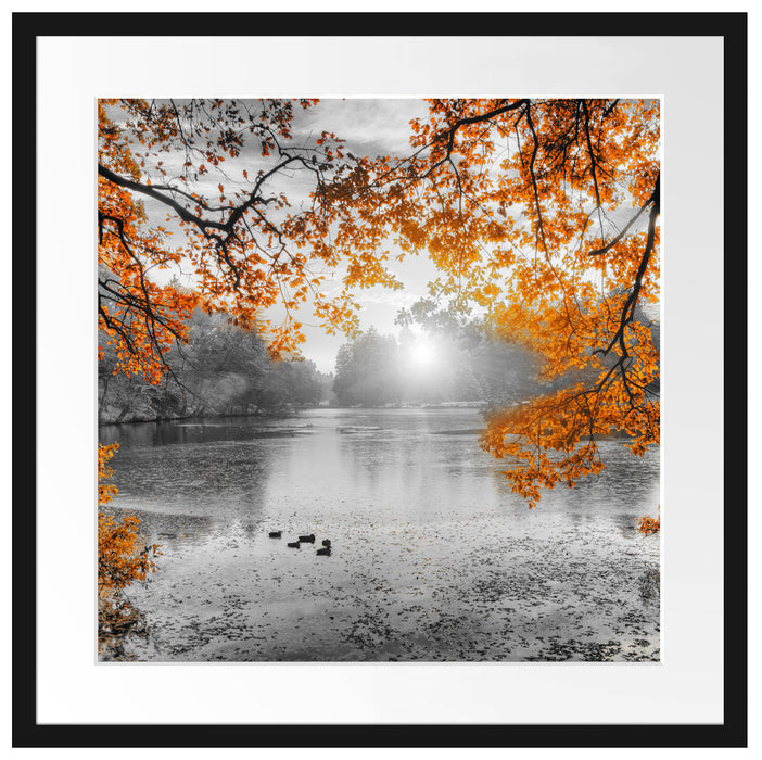 Herbstbäume um See bei Sonnenuntergang B&W Detail Passepartout Quadratisch 55