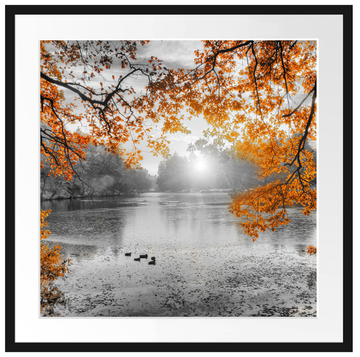 Herbstbäume um See bei Sonnenuntergang B&W Detail Passepartout Quadratisch 70