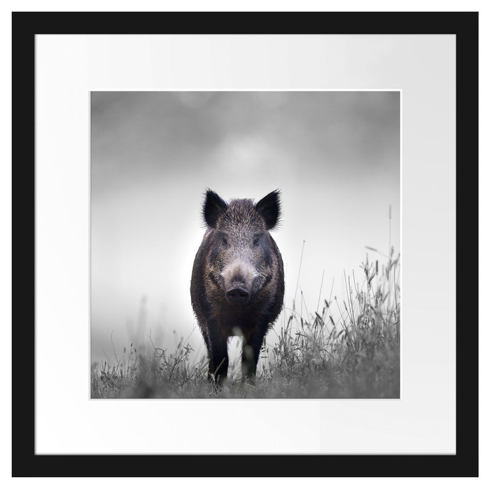 Wildschweinauf einer Wiese im Nebel B&W Detail Passepartout Quadratisch 40