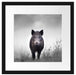 Wildschweinauf einer Wiese im Nebel B&W Detail Passepartout Quadratisch 40