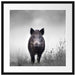 Wildschweinauf einer Wiese im Nebel B&W Detail Passepartout Quadratisch 55