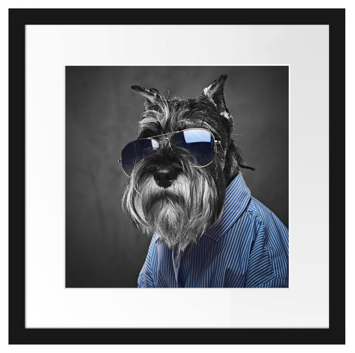 Lustiger Hund mit Hemd und Sonnenbrille B&W Detail Passepartout Quadratisch 40