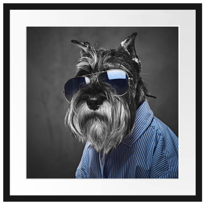 Lustiger Hund mit Hemd und Sonnenbrille B&W Detail Passepartout Quadratisch 55