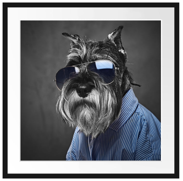 Lustiger Hund mit Hemd und Sonnenbrille B&W Detail Passepartout Quadratisch 70