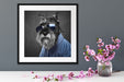 Lustiger Hund mit Hemd und Sonnenbrille B&W Detail Passepartout Detail Quadratisch