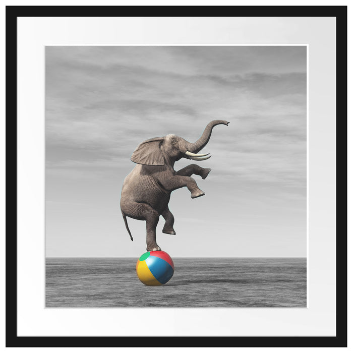 Elefant in der Wüste balanciert auf Ball B&W Detail Passepartout Quadratisch 55