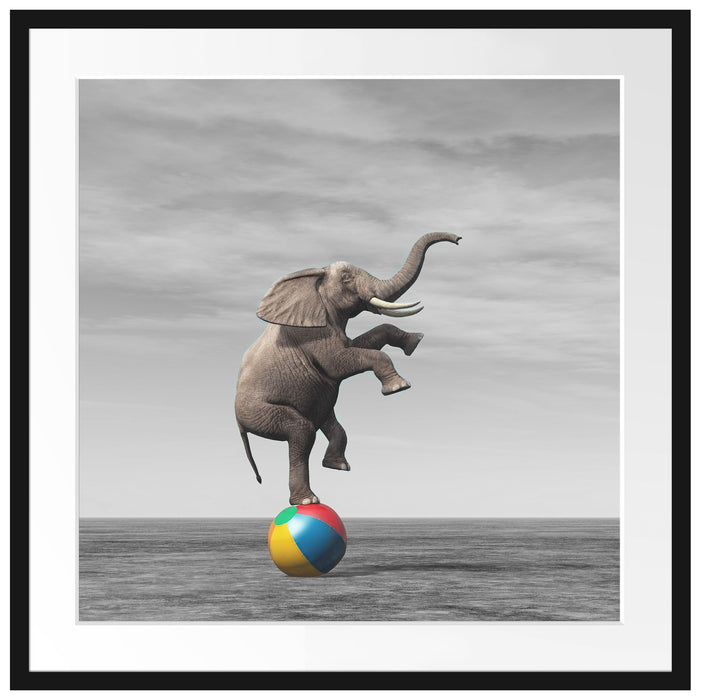 Elefant in der Wüste balanciert auf Ball B&W Detail Passepartout Quadratisch 70