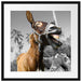 Lustiger lachender Esel unter Palmen B&W Detail Passepartout Quadratisch 55