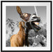 Lustiger lachender Esel unter Palmen B&W Detail Passepartout Quadratisch 70