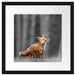 Neugieriger Fuchs im Herbstwald B&W Detail Passepartout Quadratisch 40