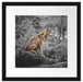 Wolf sitzt auf einem Stein im Herbstwald B&W Detail Passepartout Quadratisch 40