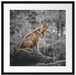 Wolf sitzt auf einem Stein im Herbstwald B&W Detail Passepartout Quadratisch 55