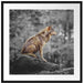 Wolf sitzt auf einem Stein im Herbstwald B&W Detail Passepartout Quadratisch 70