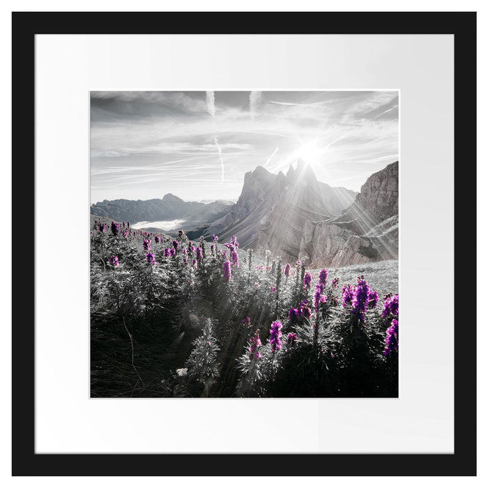 Bergwiese im Puez-Geisler Naturpark B&W Detail Passepartout Quadratisch 40