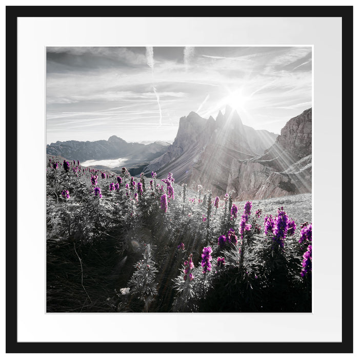 Bergwiese im Puez-Geisler Naturpark B&W Detail Passepartout Quadratisch 55